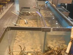 -遇上西雅图多融合海鲜自助餐厅(中房金谊广场店)