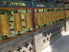 -五泉山公园