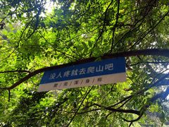 -石台牯牛降景区