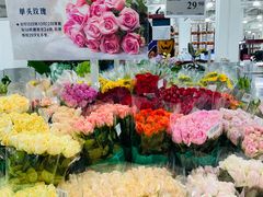 -山姆会员商店(上海浦东店)