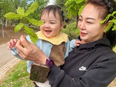 -长白岛森林公园