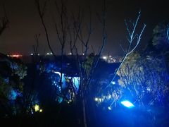 -飞凤山奥体公园