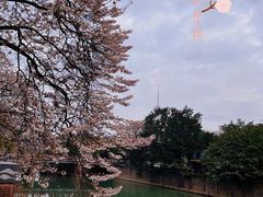 -红星桥(地铁站)