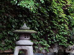 -南普陀寺