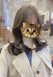 -OnHair造型