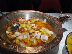 -雲蜀龙阁·金牌水煮鱼(方庄店)