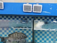 -京泰隆生鲜超市(林后店)