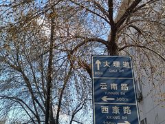 -天津五大道文化旅游区