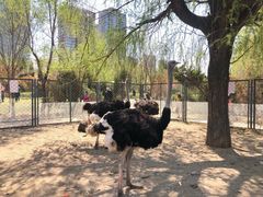 -长白岛森林公园