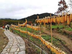 -塔川景区