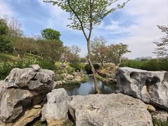-羊山湖公园