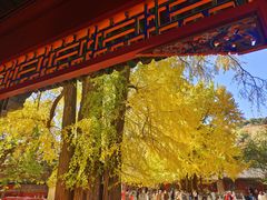 -潭柘寺景区