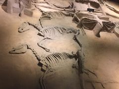 -洛阳周王城天子驾六博物馆