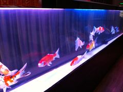-沈阳于洪一汽丰田4S店(于洪广场店)