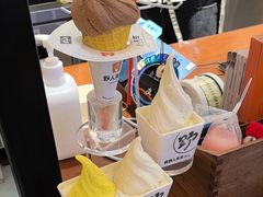 -野人先生Gelato(上海长宁龙之梦店)