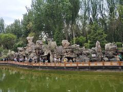 -金城公园