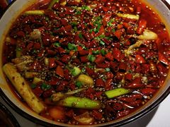 江湖馋嘴蛙-雲蜀龙阁·金牌水煮鱼(方庄店)