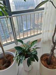 -HEYAN荷妍专业脱毛连锁机构