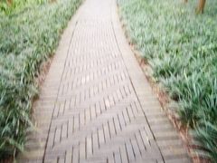 -桤木河湿地公园