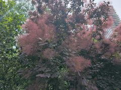 -木塔寺遗址生态公园