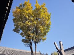 -平遥县衙