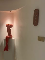 -WENDY·温迪皮肤管理