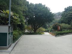 -金鸡山公园