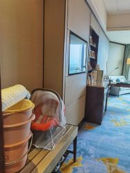 -臻康乃馨月子中心(凯宾斯基店)