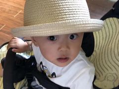 -鹿境梅花鹿生态园区