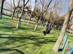 -青龙湖公园