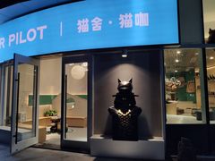 门面-飞行喵MR PILOT|猫舍·猫咖(静安大融城店)
