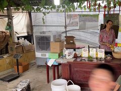 -马陆小张葡萄园农家乐