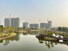 -王借岗森林公园