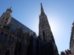 -斯蒂芬主教座堂(Stephansdom)
