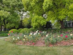 -北外滩滨江绿地