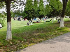 -艾溪湖湿地公园