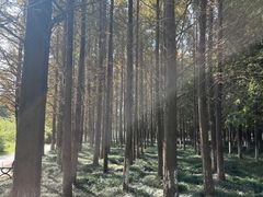 -阳澄湖半岛旅游度假区