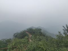 -大岭沟猕猴桃谷风景区