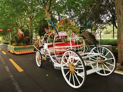 -辛玛王国游乐园