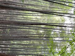 -敬亭山风景名胜区