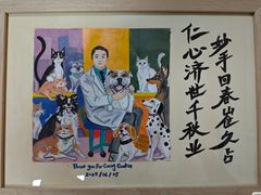 -北京观赏动物医院·24小时大型综合·猫专科·异宠专科