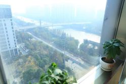 -涌泉妈咪树通乳·产后恢复