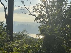 -梧桐山风景名胜区