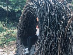 -龙湾潭国家森林公园