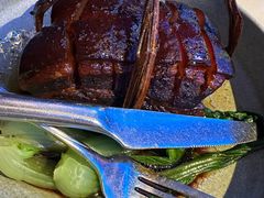 东坡草扎肉-桂满陇天书(南京德基旗舰店)