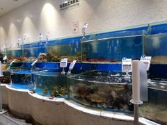 水产区-7fresh七鲜(大族广场店)