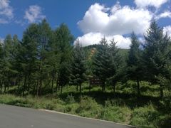 -塞罕坝国家级自然保护区