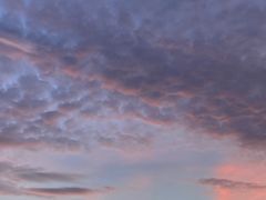 -海底捞火锅(星光不夜城店)