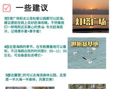 -日照海滨国家森林公园