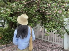 -南京奥林匹克体育中心